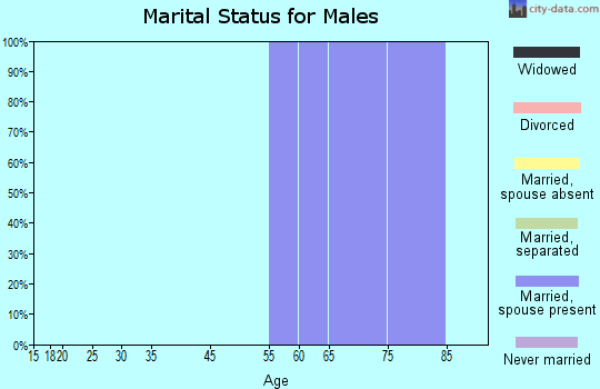 Zip code 48620 marital status for males