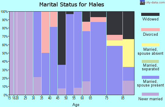 Zip code 48621 marital status for males