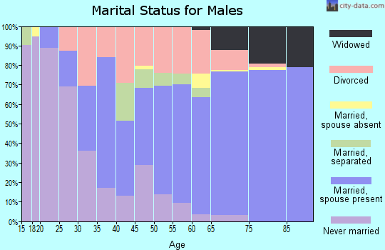 Zip code 48632 marital status for males
