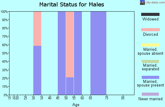 Zip code 48633 marital status for males