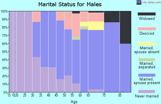 Zip code 48635 marital status for males