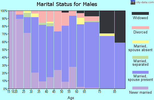 Zip code 48637 marital status for males