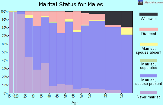 Zip code 48640 marital status for males