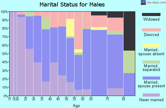 Zip code 48647 marital status for males