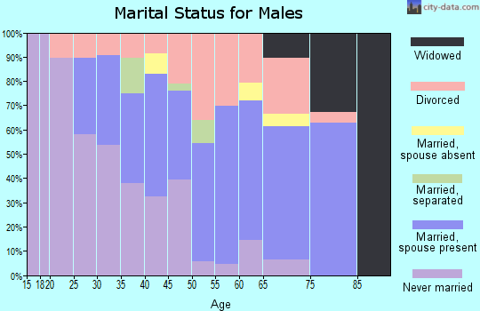 Zip code 48656 marital status for males
