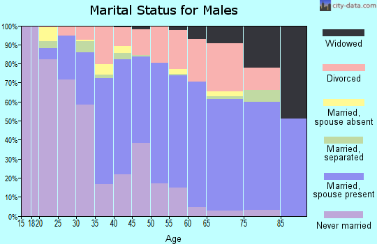 Zip code 48658 marital status for males