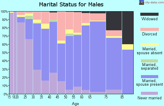 Zip code 48661 marital status for males