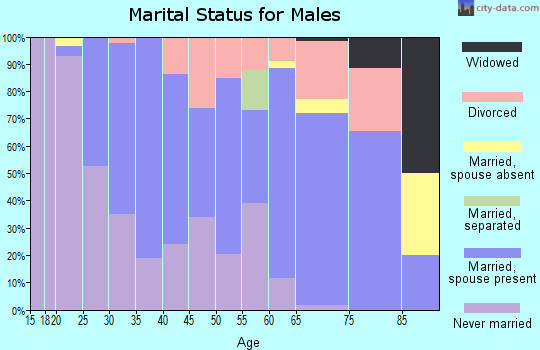 Zip code 48701 marital status for males