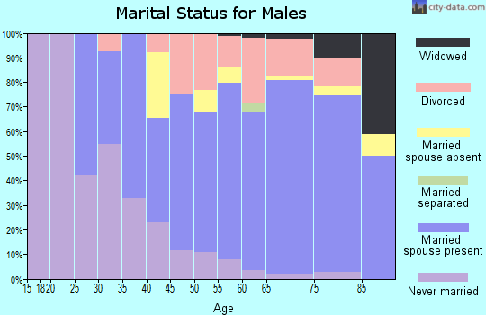 Zip code 48703 marital status for males