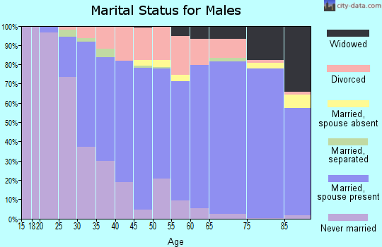 Zip code 48706 marital status for males