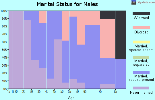 Zip code 48720 marital status for males
