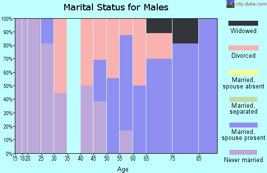 Zip code 48721 marital status for males