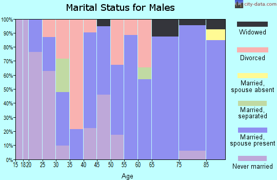 Zip code 48722 marital status for males