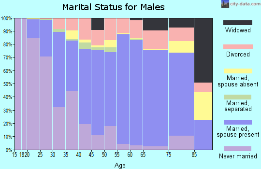 Zip code 48723 marital status for males
