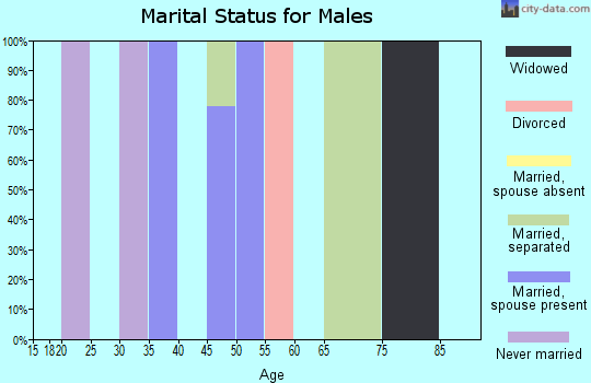 Zip code 48724 marital status for males