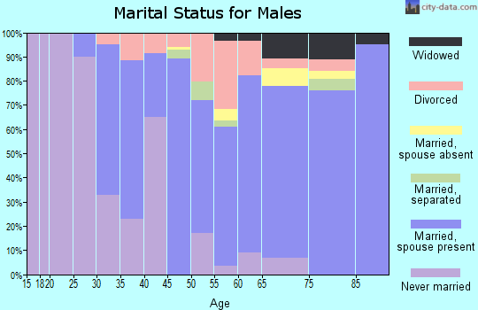Zip code 48725 marital status for males