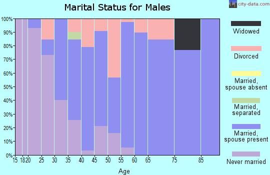 Zip code 48727 marital status for males