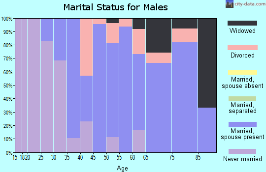 Zip code 48729 marital status for males