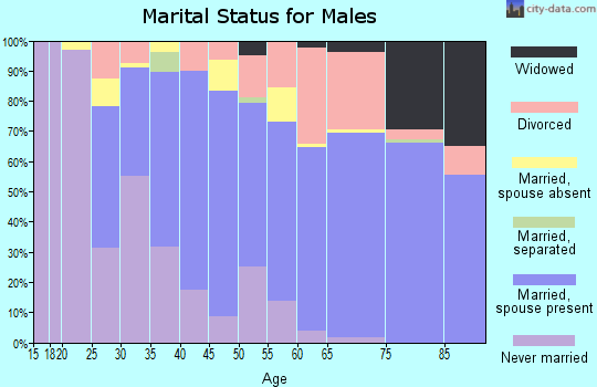 Zip code 48730 marital status for males