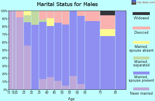 Zip code 48731 marital status for males