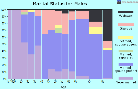 Zip code 48732 marital status for males