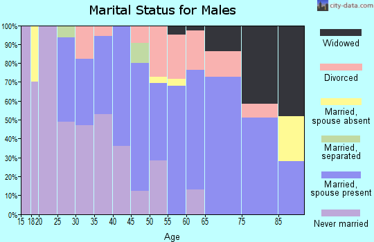 Zip code 48733 marital status for males