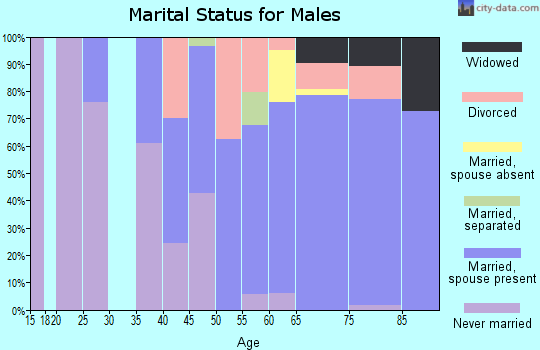 Zip code 48738 marital status for males