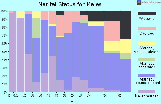 Zip code 48740 marital status for males