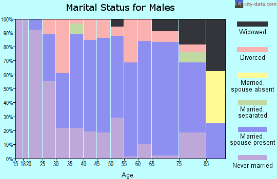 Zip code 48741 marital status for males