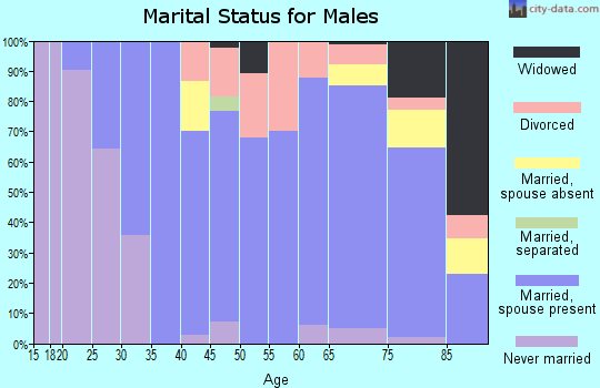 Zip code 48742 marital status for males