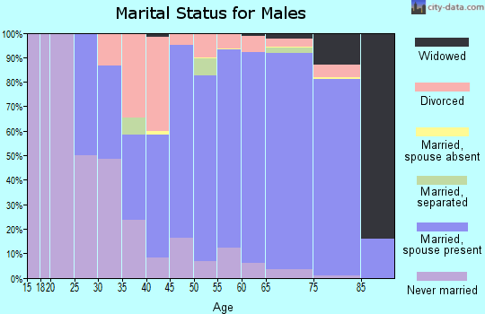 Zip code 48744 marital status for males