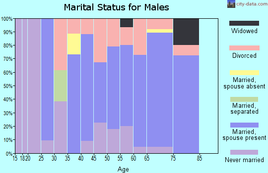 Zip code 48745 marital status for males