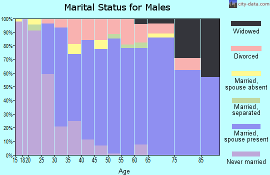 Zip code 48746 marital status for males