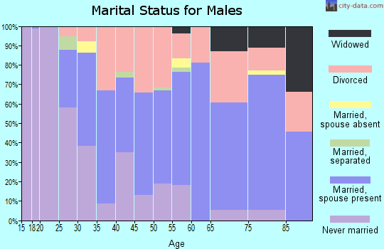 Zip code 48750 marital status for males
