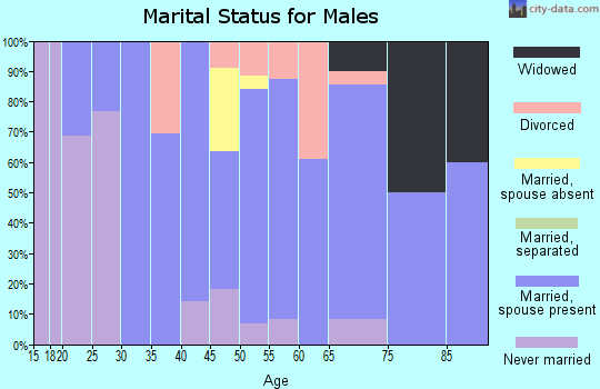 Zip code 48754 marital status for males