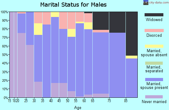 Zip code 48755 marital status for males