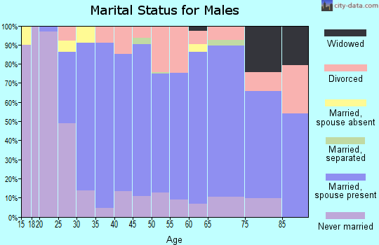 Zip code 48767 marital status for males
