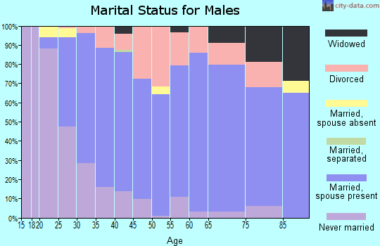Zip code 48768 marital status for males