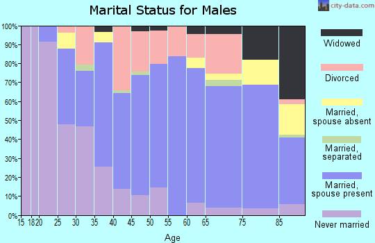 Zip code 48801 marital status for males