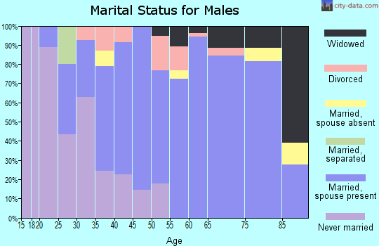 Zip code 48806 marital status for males