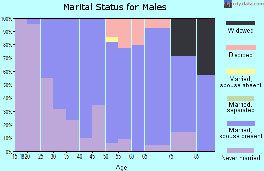 Zip code 48807 marital status for males