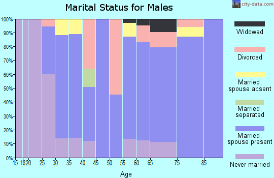 Zip code 48808 marital status for males