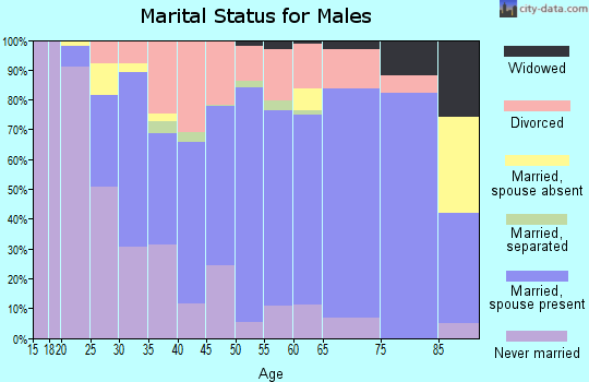 Zip code 48809 marital status for males