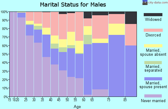 Zip code 48811 marital status for males