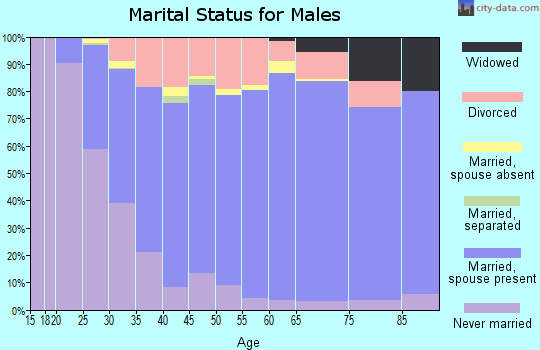 Zip code 48813 marital status for males