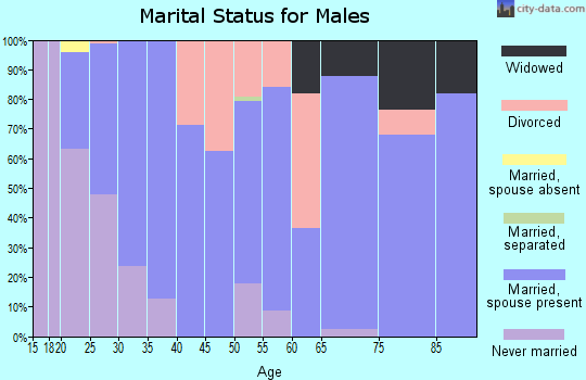 Zip code 48815 marital status for males