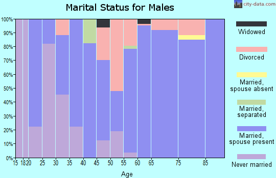 Zip code 48818 marital status for males