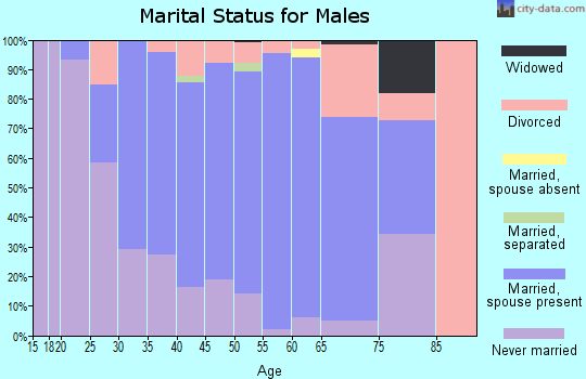 Zip code 48819 marital status for males