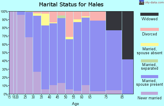 Zip code 48820 marital status for males