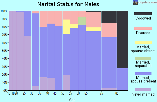 Zip code 48821 marital status for males